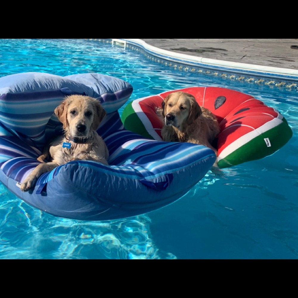 Meet your Poshers, Teagan and Alyssa